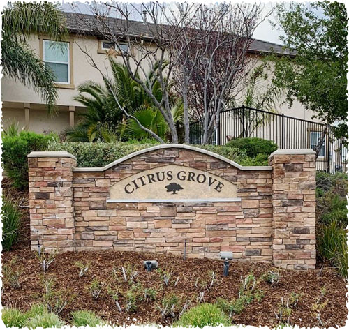 citrusgroveimage